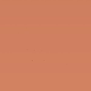 Meet your Posher, Hector